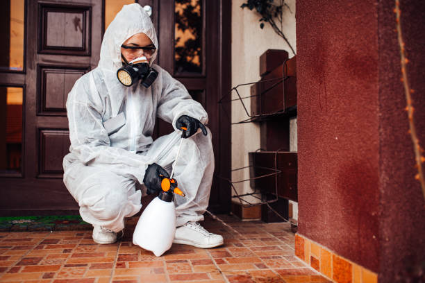 Reliable Cockroach Control contractor in North Las Vegas, NV by Nex Pest Control